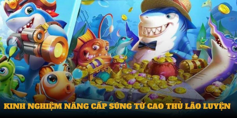 Kinh nghiệm nâng cấp súng từ cao thủ lão luyện