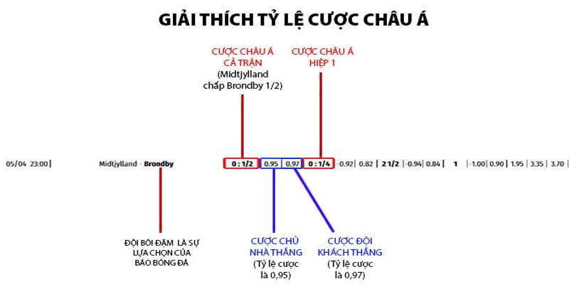 Ý nghĩa các thuật ngữ trong cá độ đá banh châu Á
