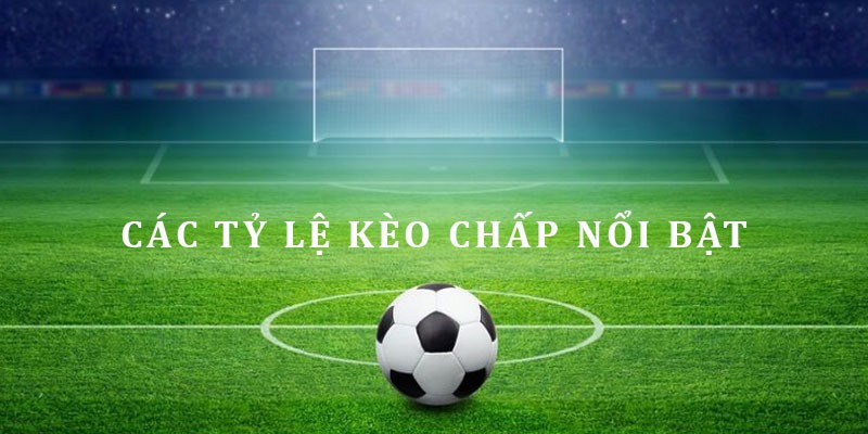 Một số loại hình cược Handicap cơ bản