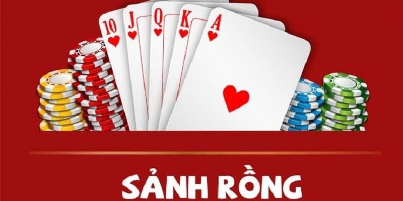 Tổ hợp bài trong Mậu Binh