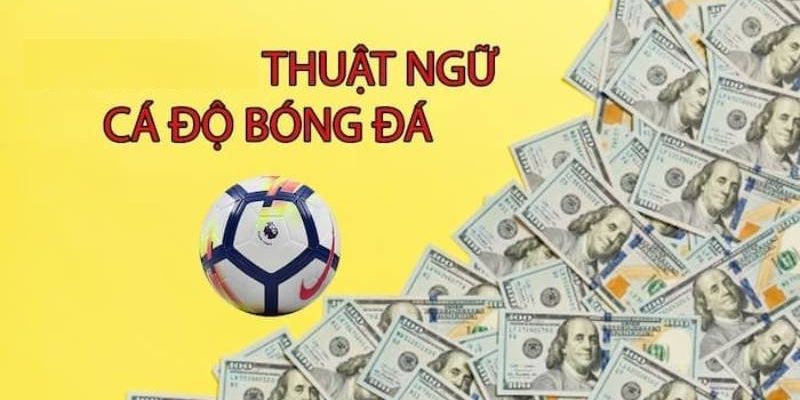 Thuật ngữ bóng đá khi chọn kèo